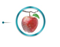 lepszy jakościowo plon